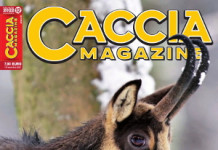 Caccia Magazine n.12 dicembre 2022: l’editoriale del direttore Caccia Magazine n.12 dicembre 2022 l’editoriale del direttore
