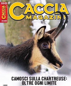 Caccia Magazine n.12 dicembre 2022: l’editoriale del direttore Caccia Magazine n.12 dicembre 2022 l’editoriale del direttore