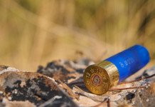 Centri di assistenza venatoria, l’iniziativa della Federcaccia Toscana Centri di assistenza venatoria: cartuccia con fondello in primo piano