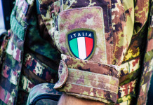 Gestione del cinghiale in Piemonte, Coldiretti invoca esercito Gestione del cinghiale in Piemonte, Coldiretti invoca esercito