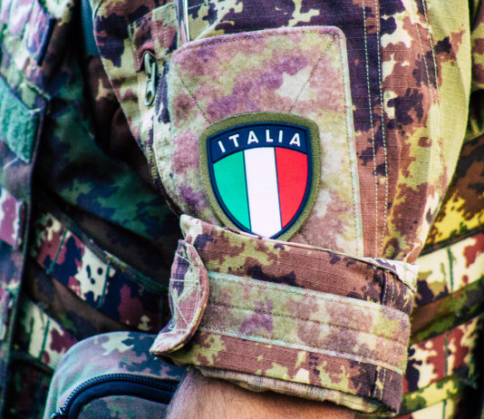 Gestione del cinghiale in Piemonte, Coldiretti invoca esercito Gestione del cinghiale in Piemonte, Coldiretti invoca esercito