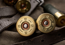 Munizioni in piombo, lettera alla Commissione europea Munizioni in piombo calibro 12, da caccia