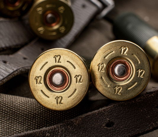 Munizioni in piombo, lettera alla Commissione europea Munizioni in piombo calibro 12, da caccia