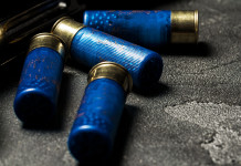 Munizioni in piombo nelle zone umide, la Face torna sul divieto Munizioni in piombo nelle zone umide