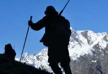 Uncza cresce in Piemonte e in Friuli Venezia Giulia Uncza cresce in Piemonte e in Friuli Venezia Giulia