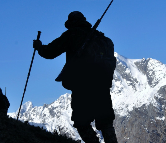 Uncza cresce in Piemonte e in Friuli Venezia Giulia Uncza cresce in Piemonte e in Friuli Venezia Giulia