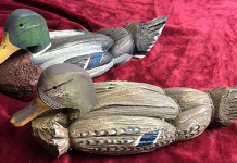 Gli stampi per la caccia agli acquatici caccia agli acquatici