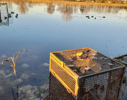 Danneggiamenti contro i cacciatori, Fidc scrive al questore Danneggiamenti contro i cacciatori, Fidc scrive al questore