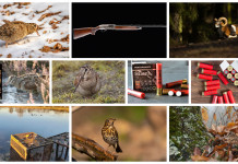 Le dieci notizie di caccia più lette del 2022 Le dieci notizie di caccia più lette del 2022