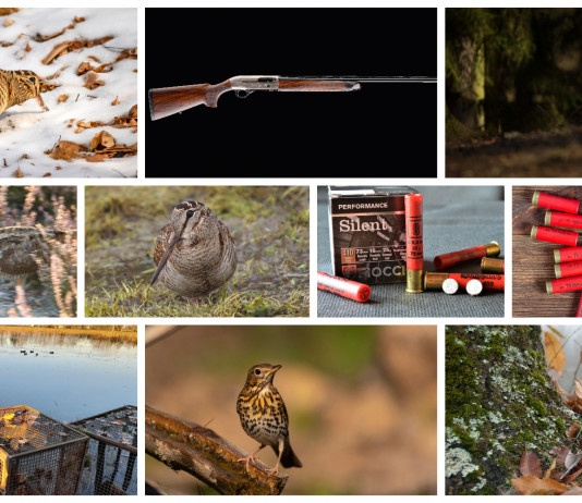 Le dieci notizie di caccia più lette del 2022 Le dieci notizie di caccia più lette del 2022