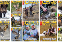 Prezzi vantaggiosi per abbonarsi a Caccia Magazine Prezzi vantaggiosi per abbonarsi a Caccia Magazine