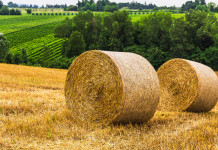 Zone rurali in Europa, approvata mozione Zone rurali in Europa