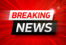 Respinto il ricorso ambientalista contro il calendario venatorio dell’Abruzzo breaking news