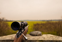A caccia con il porto d’armi scaduto: la sentenza A caccia con il porto d’armi scaduto: carabina su appoggio, con ottica installata
