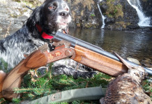 Beccacce che Passione in edicola: ecco il primo numero dell’anno Beccacce che Passione in edicola ecco il primo numero dell'anno