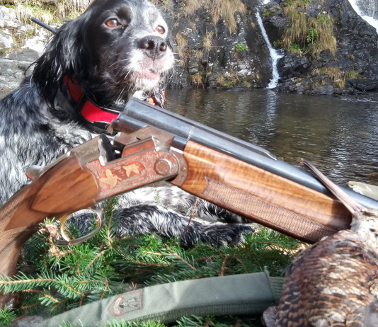 Beccacce che Passione in edicola: ecco il primo numero dell’anno Beccacce che Passione in edicola ecco il primo numero dell'anno