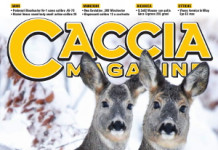 Caccia Magazine n.2 febbraio 2023: l’editoriale del direttore Caccia Magazine n.2 febbraio 2023 l’editoriale del direttore