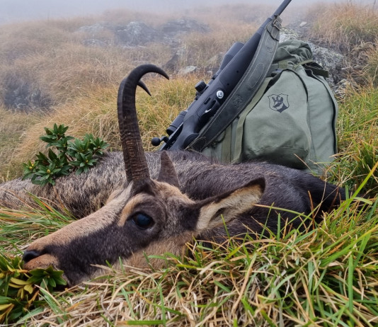 Caccia di selezione: la visibilità è fondamentale Caccia di selezione la visibilità è fondamentale