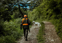 Minorenne a caccia: la sentenza Minorenne a caccia: cacciatore di spalle nel bosco