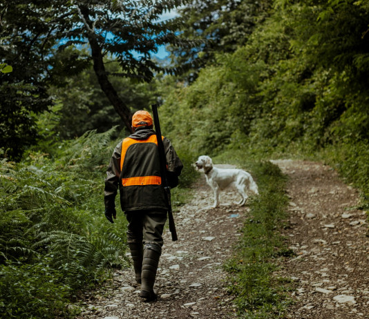 Minorenne a caccia: la sentenza Minorenne a caccia: cacciatore di spalle nel bosco