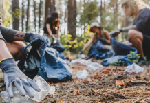 Paladini del territorio, annunciata la seconda edizione Operazione Paladini del territorio: pulizia del bosco dai rifiuti