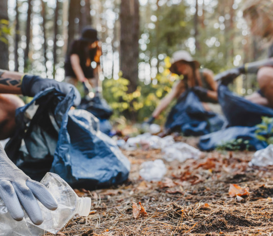 Paladini del territorio, annunciata la seconda edizione Operazione Paladini del territorio: pulizia del bosco dai rifiuti