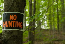 Proposto nuovo referendum sulla caccia Proposto nuovo referendum sulla caccia: cartello "no hunting" appeso a un albero