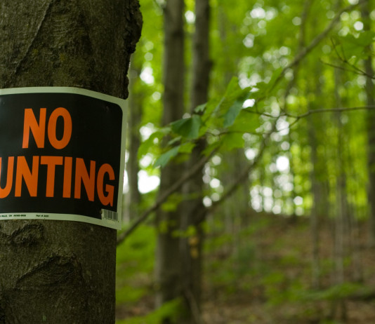 Proposto nuovo referendum sulla caccia Proposto nuovo referendum sulla caccia: cartello "no hunting" appeso a un albero