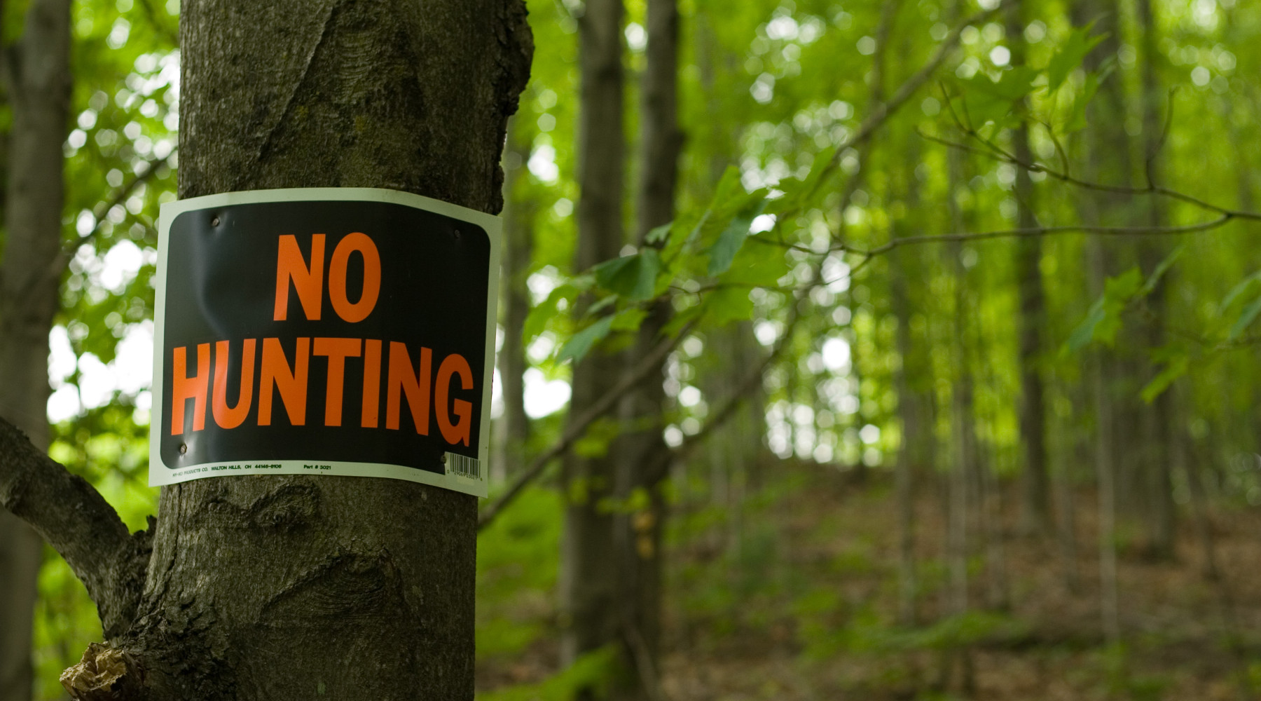 Proposto nuovo referendum sulla caccia: cartello 