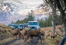 Ineos Grenadier, un fuoristrada 4×4 a Eos 23 Ineos Grenadier, un fuoristrada 4x4 a Eos 23