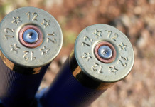 Munizioni in piombo nelle zone umide, divieto in vigore Munizioni in piombo nelle zone umide, divieto in vigore: due cartucce calibro 12