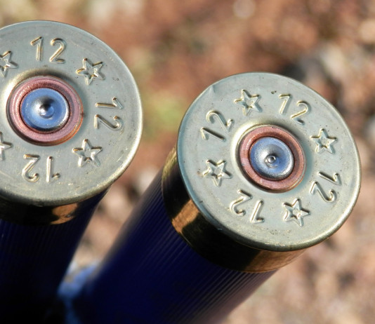 Munizioni in piombo nelle zone umide, divieto in vigore Munizioni in piombo nelle zone umide, divieto in vigore: due cartucce calibro 12