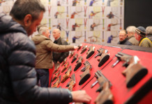 Quanti visitatori per Eos 23? Quanti visitatori per Eos 23