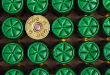 Restrizioni munizioni in piombo, chiesto confronto al governo Restrizioni munizioni in piombo: cartucce da caccia viste dall'alto, di tutte tranne una la chiusura stellare a sei pliche