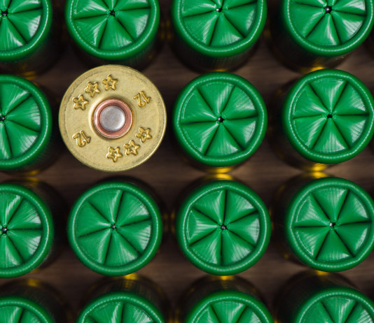 Restrizioni munizioni in piombo, chiesto confronto al governo Restrizioni munizioni in piombo: cartucce da caccia viste dall'alto, di tutte tranne una la chiusura stellare a sei pliche