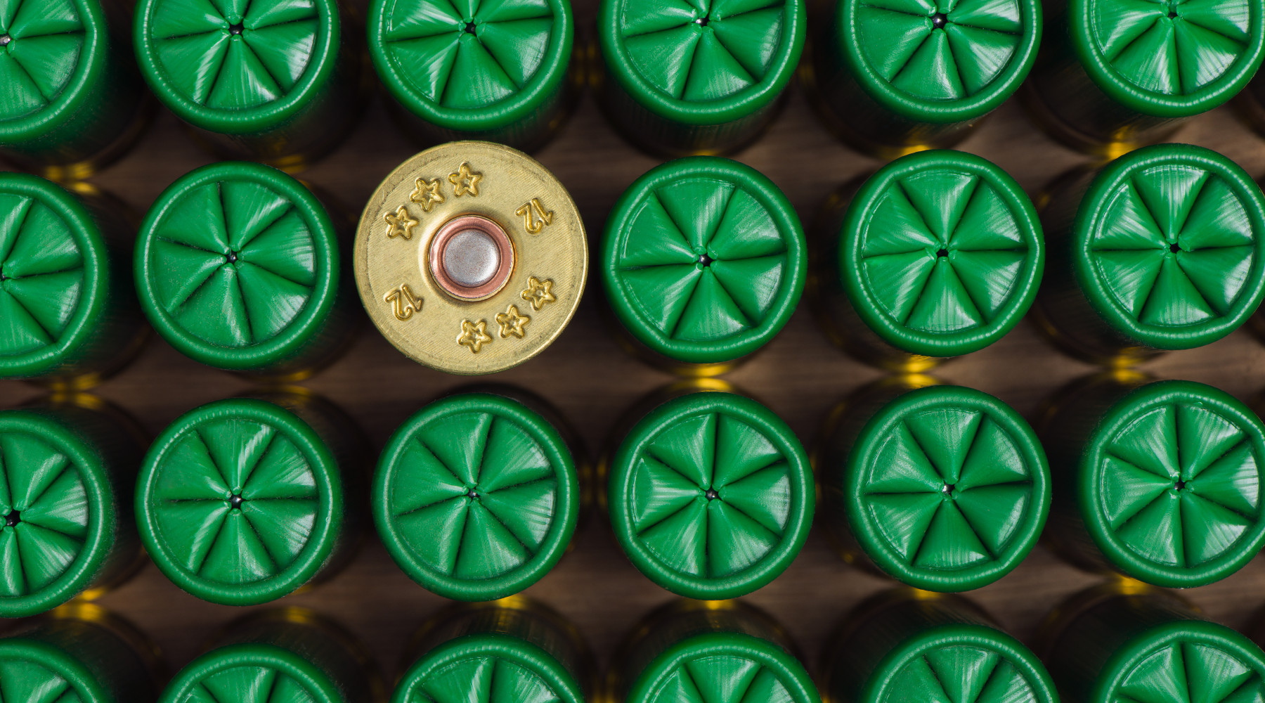 Restrizioni munizioni in piombo, chiesto confronto al governo Restrizioni munizioni in piombo: cartucce da caccia viste dall'alto, di tutte tranne una la chiusura stellare a sei pliche