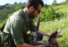 Starne a Fiordimonte con i nuovi Franchi Starne a Fiordimonte con i nuovi Franchi