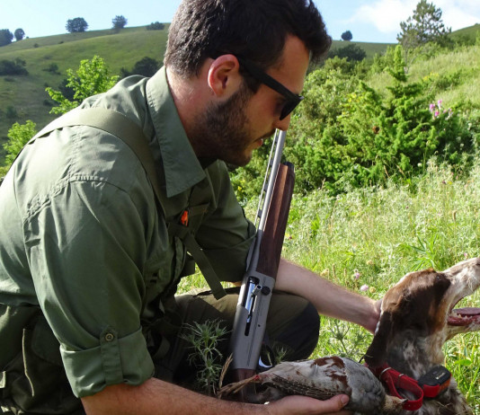 Starne a Fiordimonte con i nuovi Franchi Starne a Fiordimonte con i nuovi Franchi