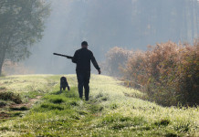 Associazioni venatorie negli Atc: la sentenza del Consiglio di Stato Associazioni venatorie negli Atc: cacciatore di spalle con cane