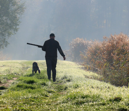 Associazioni venatorie negli Atc: la sentenza del Consiglio di Stato Associazioni venatorie negli Atc: cacciatore di spalle con cane
