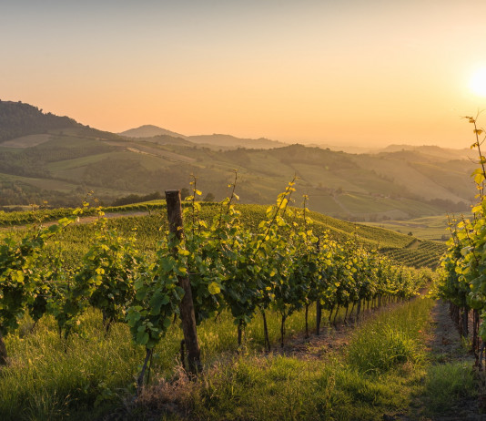 Beduschi nuovo assessore all’Agricoltura della Lombardia Beduschi nuovo assessore all’Agricoltura della Lombardia: Oltrepò pavese