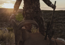 Bergara Wilderness Hmr Carbon, la carabina bolt-action in fibra di carbonio Bergara Wilderness Hmr Carbon, la carabina bolt-action in fibra di carbonio