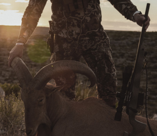 Bergara Wilderness Hmr Carbon, la carabina bolt-action in fibra di carbonio Bergara Wilderness Hmr Carbon, la carabina bolt-action in fibra di carbonio