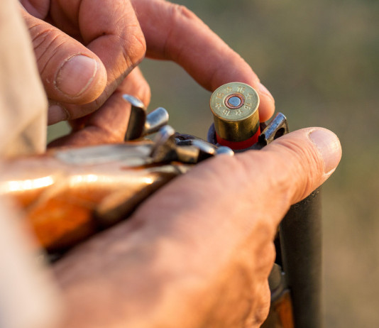 Caccia sociale e caccia privata, l’intervento della Federcaccia Caccia sociale e caccia privata: cacciatore inserisce cartuccia nel fucile