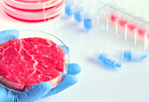 Carne sintetica, oggi ddl in consiglio dei ministri Carne sintetica, prodotta in laboratorio