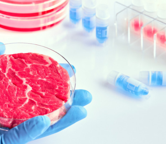 Carne sintetica, oggi ddl in consiglio dei ministri Carne sintetica, prodotta in laboratorio