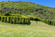 Convegno sui roccoli a Bergamo Convegno sui roccoli a Bergamo