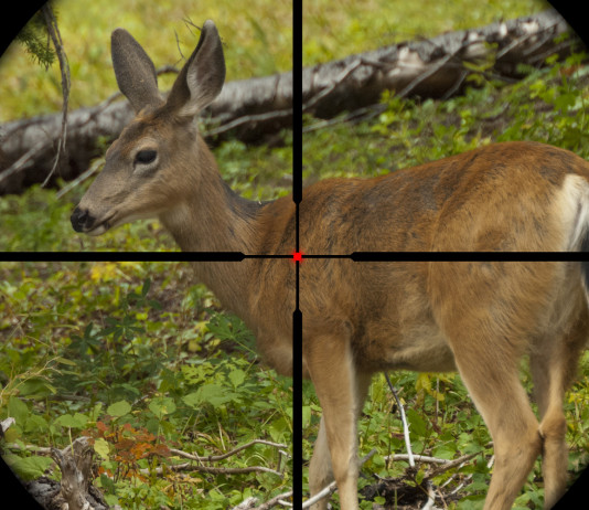 Balistica venatoria: un corso Conarmi online Balistica venatoria un corso Conarmi online