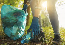 Essere Paladini del territorio conviene Essere Paladini del territorio conviene: pulizia della spazzatura dalle foreste