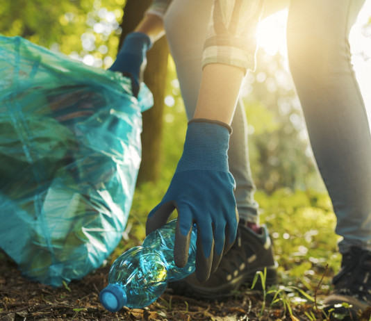 Essere Paladini del territorio conviene Essere Paladini del territorio conviene: pulizia della spazzatura dalle foreste